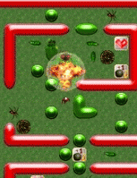 TNT Maniac icon