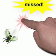 Catch The Fly icon