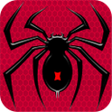 Spider Solitaire icon