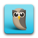 HootSuite icon