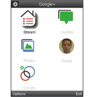 Google+ icon