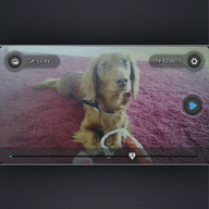 Remote Camera icon
