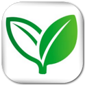 Home Remedies (Free) icon