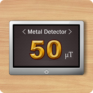 Metal Detector