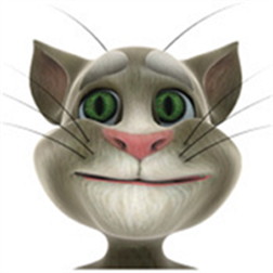 Talking Tom Cat icon