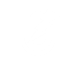 Instant Incognito Recorder icon