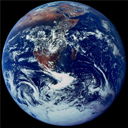 Browser icon
