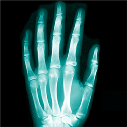 X-Ray Scanner icon