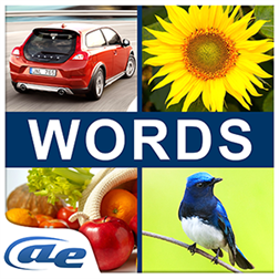 AE Word Guess icon