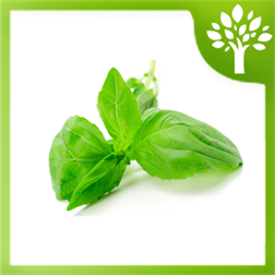 Home Remedies icon