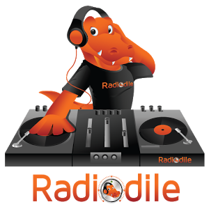 Radiodile â€“ Unlimited Skips icon