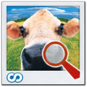Find It â„¢ MEGA Find Difference icon